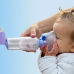 Exploring the Cuisine of Marrakech